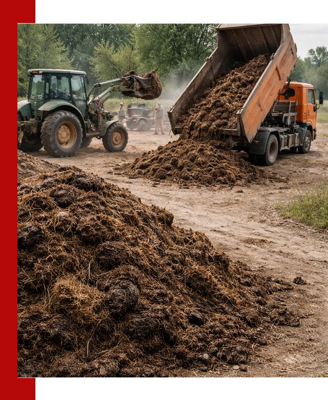 Доставка навоза самосвалами в Ухте для сельхозпотребностей